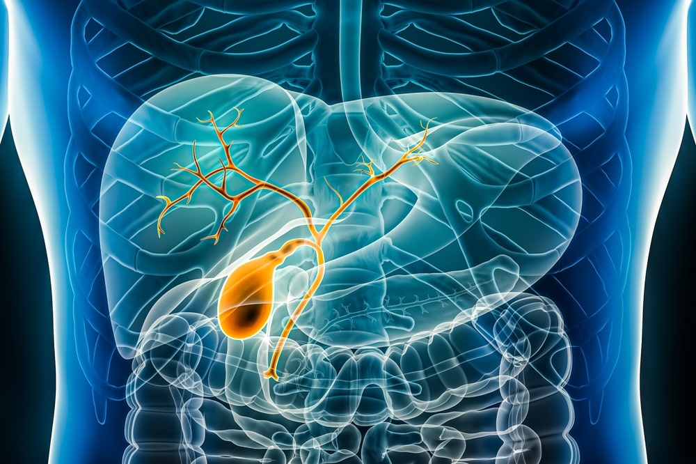 Gall Bladder, Liver & Pancreas Surgery