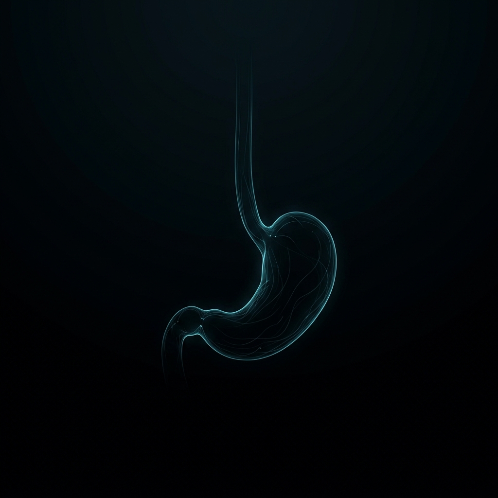 Stomach & Esophagus Surgery
